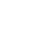 zebra icon